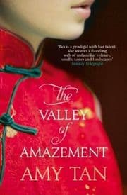 Cover von The Valley of Amazement