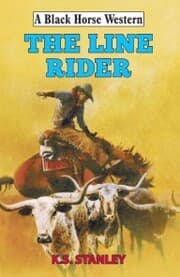 Cover von The Line Rider