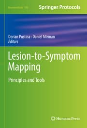 Cover von Lesion-to-Symptom Mapping
