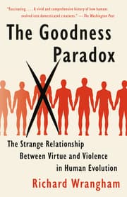 Cover von The Goodness Paradox