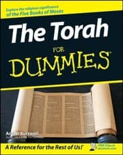 Cover von The Torah For Dummies