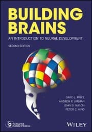 Cover von Building Brains
