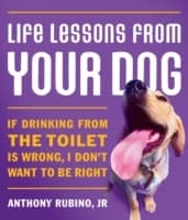 Cover von Life Lessons From Your Dog