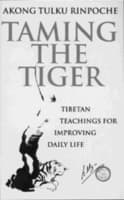 Cover von Taming The Tiger