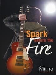 Cover von A Spark Before the Fire