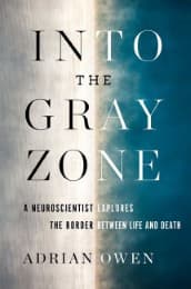 Cover von Into the Gray Zone