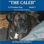 Cover von The Caleb
