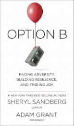 Cover von Option B