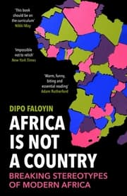 Cover von Africa Is Not a Country