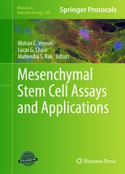 Cover von Mesenchymal Stem Cell Assays and Applications