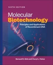 Cover von Molecular Biotechnology