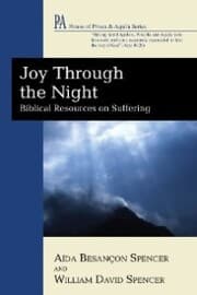 Cover von Joy Through the Night