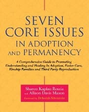 Cover von Seven Core Issues in Adoption and Permanency