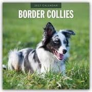 Cover von Border Collies/Border Collie 2027