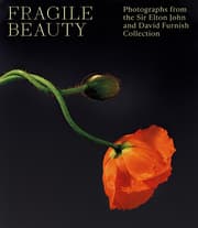 Cover von Fragile Beauty