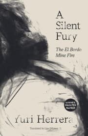 Cover von A Silent Fury