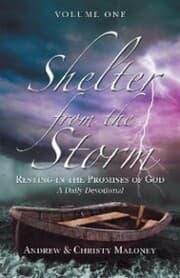 Cover von Shelter from the Storm