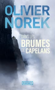 Cover von Dans les brumes de Capelans