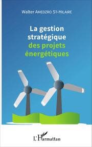Cover von La gestion stratégique des projets énergétiques