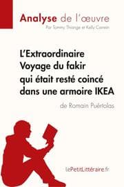 Cover von L'Extraordinaire Voyage du fakir qui était resté coincé dans une armoire IKEA de Romain Puértolas (Analyse de l'oeuvre)