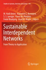 Cover von Sustainable Interdependent Networks