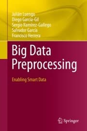 Cover von Big Data Preprocessing