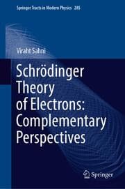 Cover von Schrödinger Theory of Electrons: Complementary Perspectives