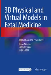 Cover von 3D Physical and Virtual Models in Fetal Medicine