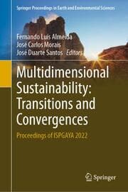 Cover von Multidimensional Sustainability: Transitions and Convergences