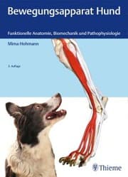 Cover von Bewegungsapparat Hund