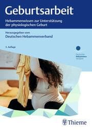 Cover von Geburtsarbeit
