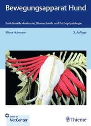 Cover von Bewegungsapparat Hund