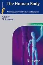 Cover von The Human Body
