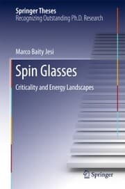 Cover von Spin Glasses