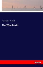 Cover von The Wire Devils