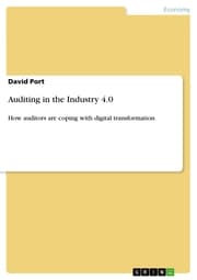 Cover von Auditing in the Industry 4.0