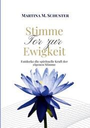Cover von Stimme - Tor zur Ewigkeit