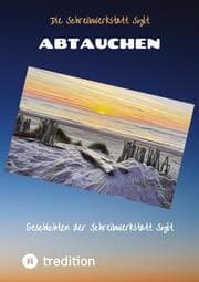 Cover von Abtauchen