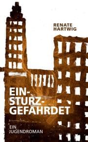 Cover von Einsturzgefährdet