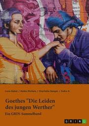 Cover von Goethes 'Die Leiden des jungen Werther'. Interpretationsansätze zu Struktur, Gattung und Motivik