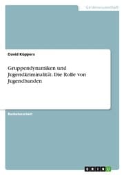 Cover von Gruppendynamiken und Jugendkriminalität. Die Rolle von Jugendbanden