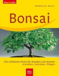 Cover von Bonsai