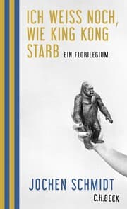 Cover von Ich weiß noch, wie King Kong starb