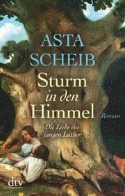 Cover von Sturm in den Himmel