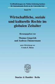 Cover von Wirtschaftliche, soziale und kulturelle Rechte im globalen Zeitalter
