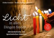 Cover von Licht in allen Dingen finden