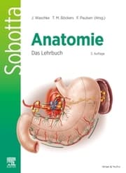 Cover von Sobotta Anatomie - Das Lehrbuch