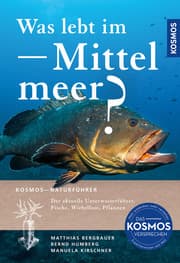Cover von Was lebt im Mittelmeer?