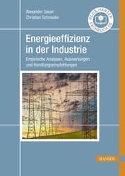 Cover von Energieeffizienz in der Industrie