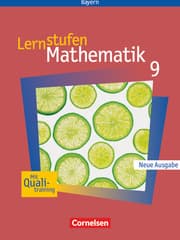 Cover von Lernstufen Mathematik - Bayern 2005